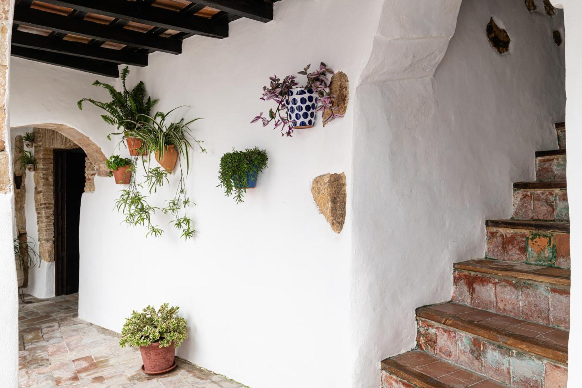 Casa Lunarito Vejer de la Frontera Eksteriør billede
